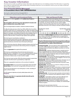 True Potential Global Managed Key Investor Information