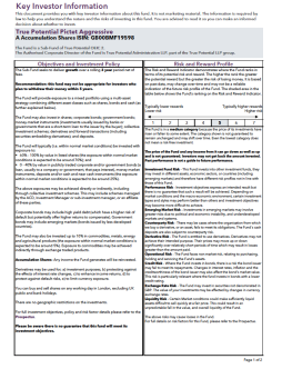 True Potential Pictet Aggressive Key Investor Information