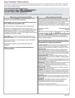 True Potential SEI Aggressive Key Investor Information
