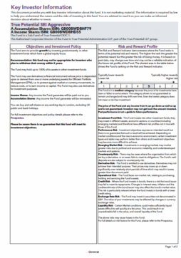 True Potential SEI Aggressive Key Investor Information