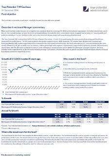 True Potential 7IM Balanced Factsheet