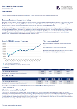 True Potential SEI Defensive Factsheet