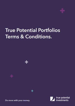True Potential Portfolios Terms & Conditions