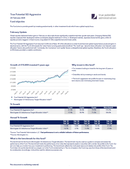 True Potential SEI Aggressive Factsheet