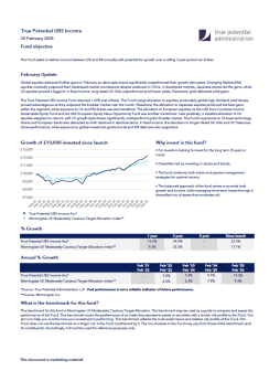 True Potential UBS Income Factsheet