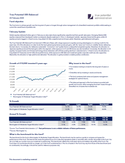 True Potential UBS Balanced Factsheet