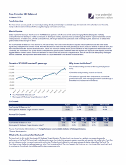 True Potential SEI Balanced Factsheet