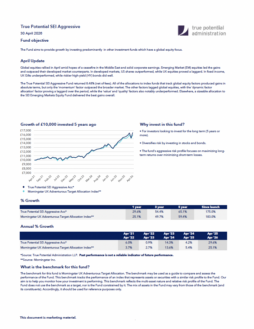 True Potential SEI Aggressive Factsheet