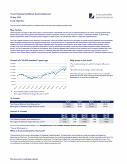 True Potential Goldman Sachs Balanced Factsheet
