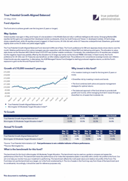 True Potential Growth-Aligned Balanced Factsheet