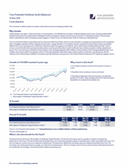 True Potential Goldman Sachs Balanced Factsheet