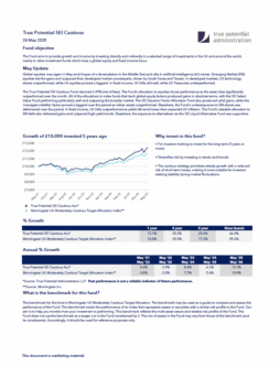 True Potential SEI Cautious Factsheet