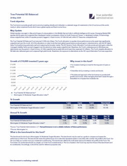 True Potential SEI Aggressive Factsheet