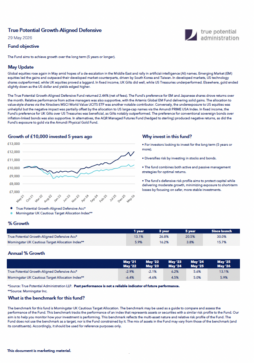 True Potential Growth-Aligned Defensive Factsheet