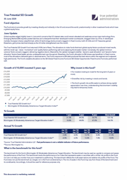 True Potential SEI Growth Factsheet