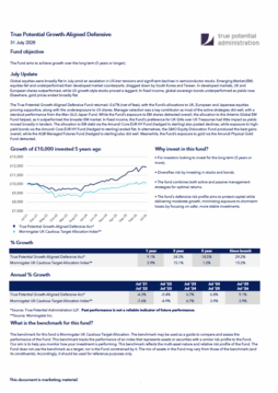 True Potential Growth-Aligned Defensive Factsheet