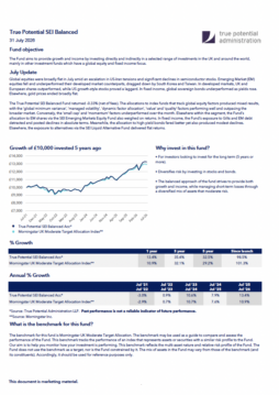 True Potential SEI Balanced Factsheet